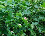 �������~��������޻��߮a(ch��n)��